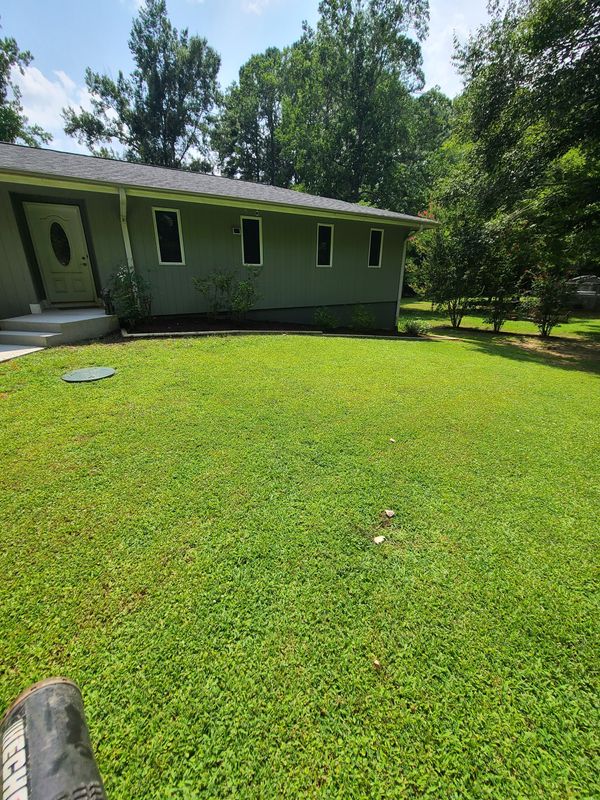 Lawn Maintenance