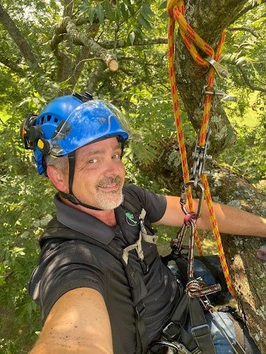 Tree Trimming
