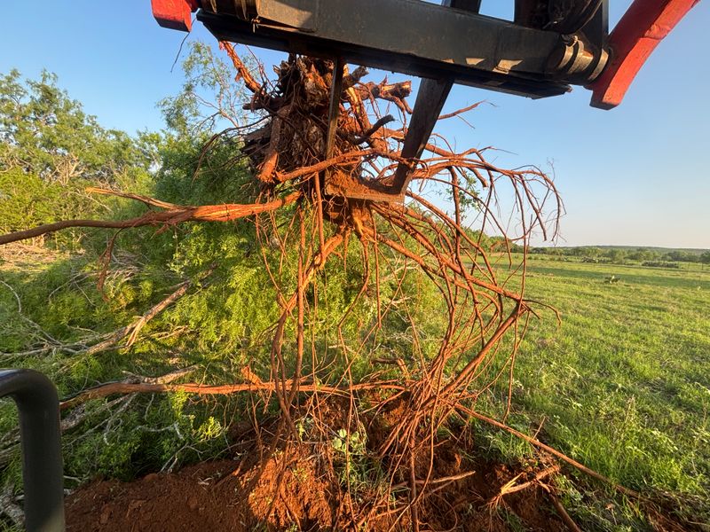 Land Clearing