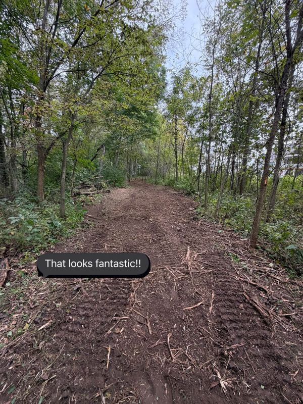 Land Clearing