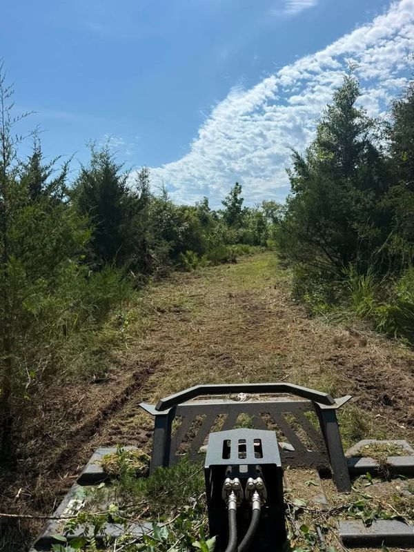 Land Clearing