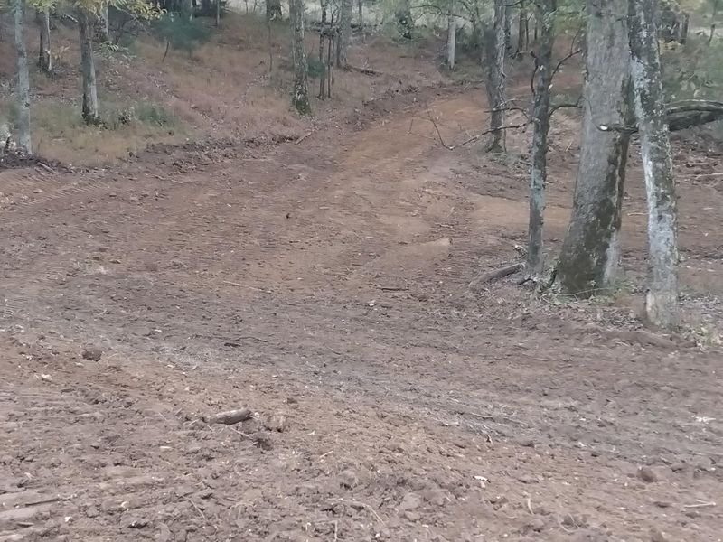 Land Clearing & Demolition