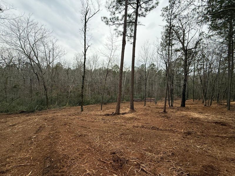 Land Clearing & Demolition