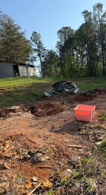 Tree Removal gallery