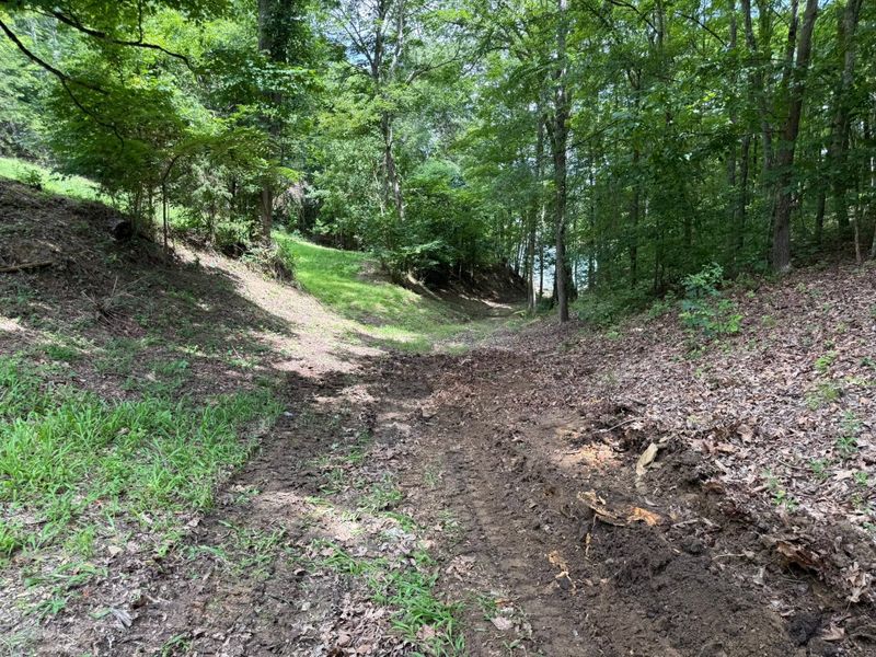 Land Clearing