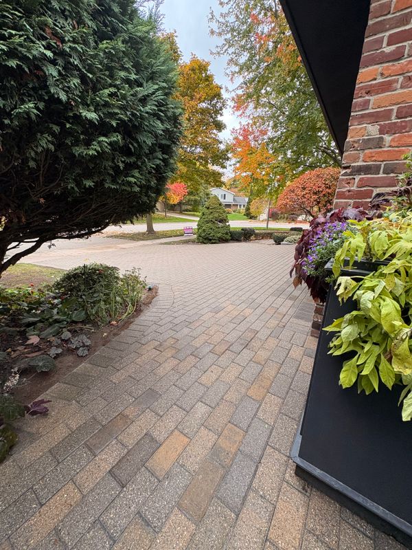 Interlock Pressure Washing & Re-Sanding