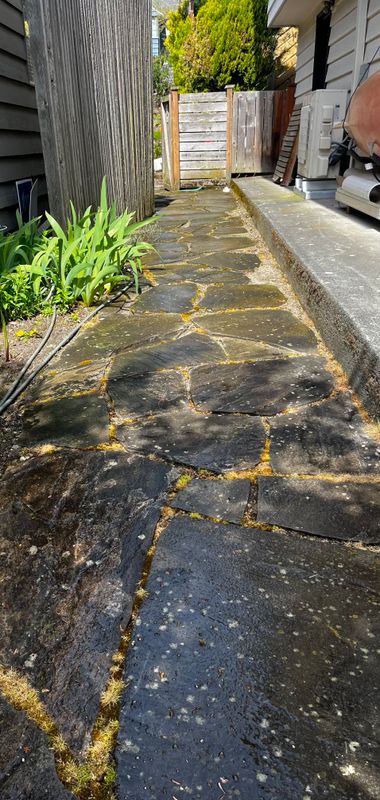 Pressure Washing