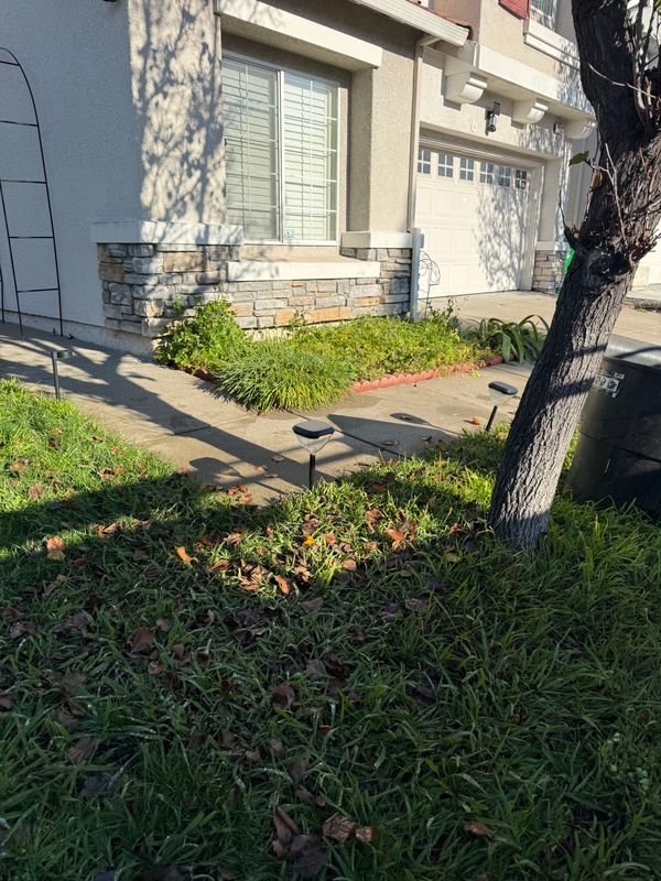 Landscaping