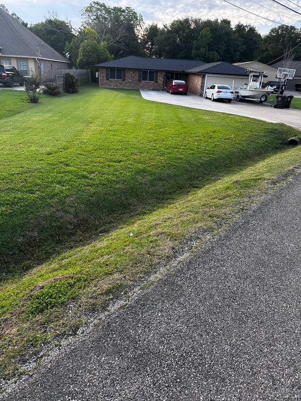 Mowing