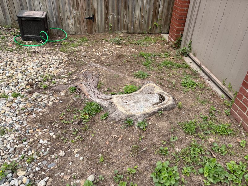Stump Removal