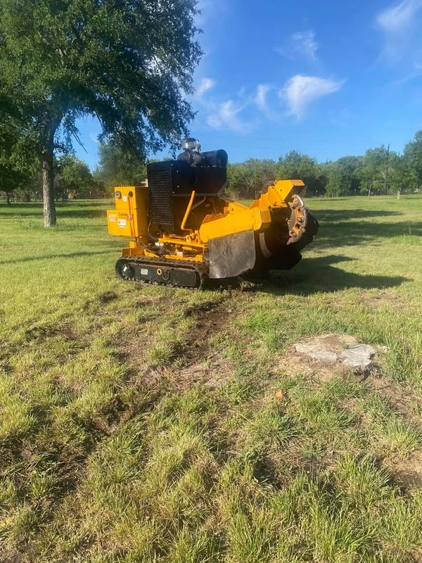 Stump Grinding