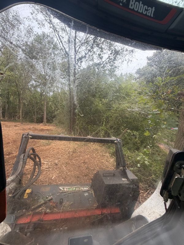 Land Clearing Photos
