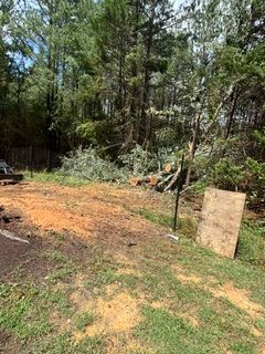 Tree Removal