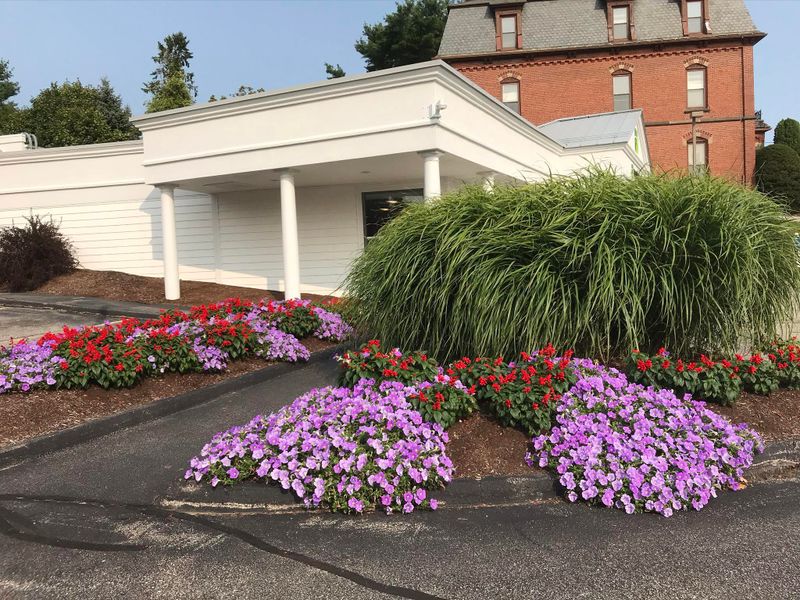 Hardscape Installation