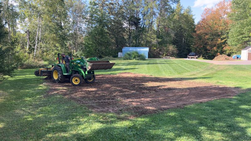 Fall Clean Up