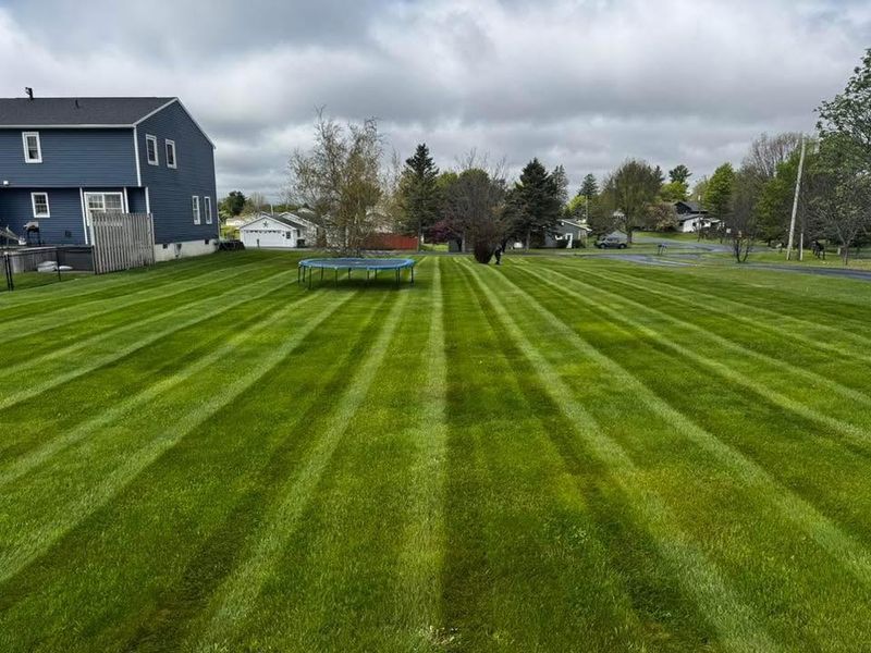 Lawn Mowing and Maintenance