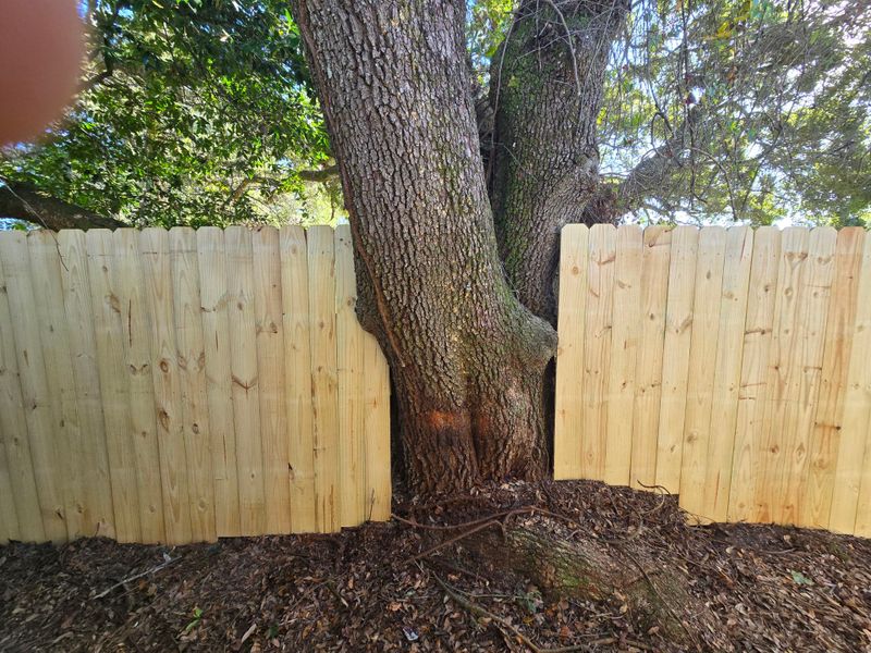 Fence Installation
