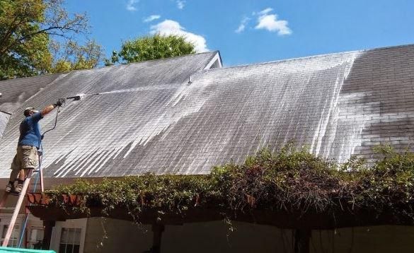 Roof Cleaning