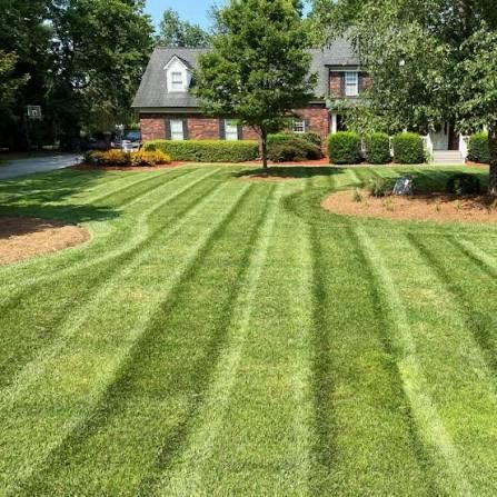 Lawn Maintenance