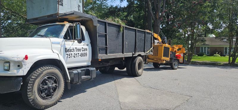 Tree Removal