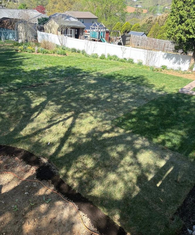 Sod Installation