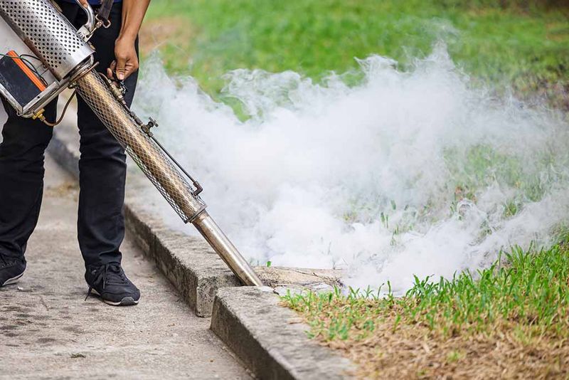 Mosquito Control