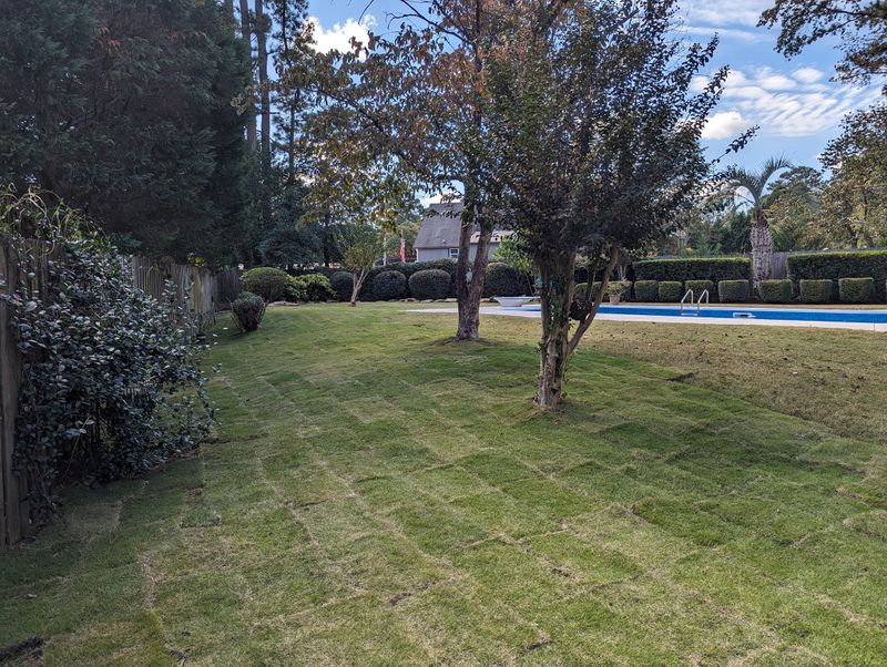Lawn Maintenance