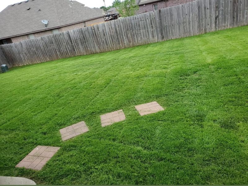 Lawn Care