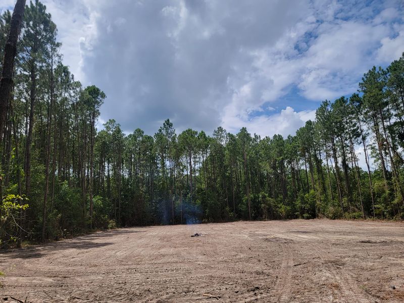 Land Clearing gallery
