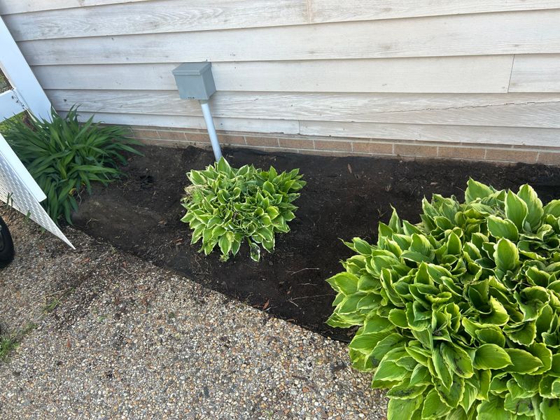 Mulch