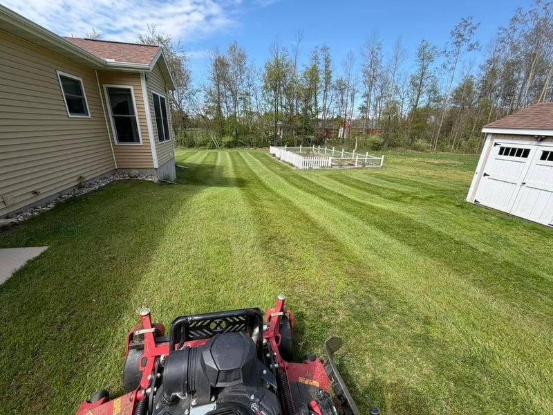 Beautiful Lawns