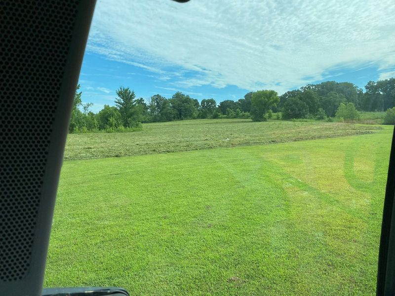 Vegetation Control