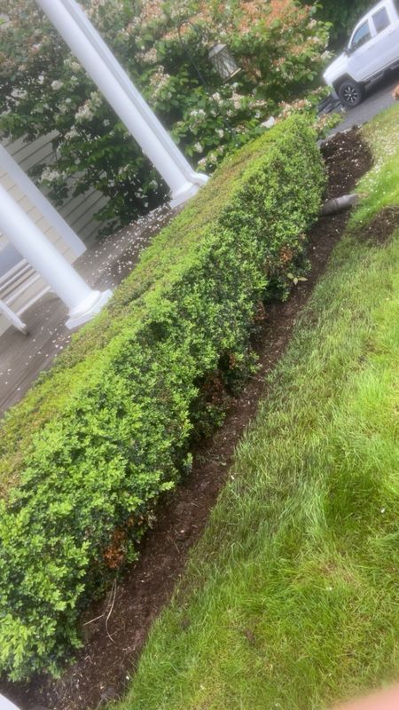Shrub Trimming