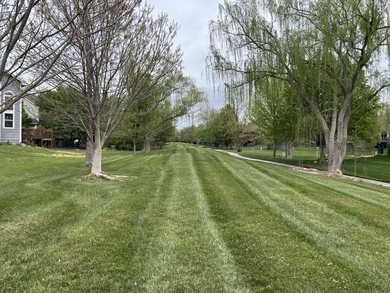 HOA Landscape Management