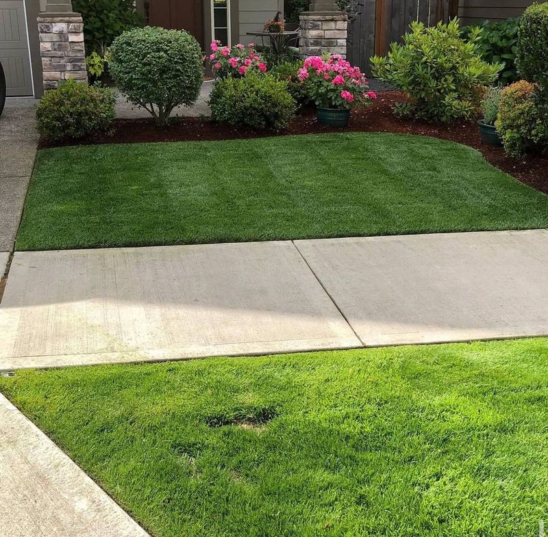 Lawn Care