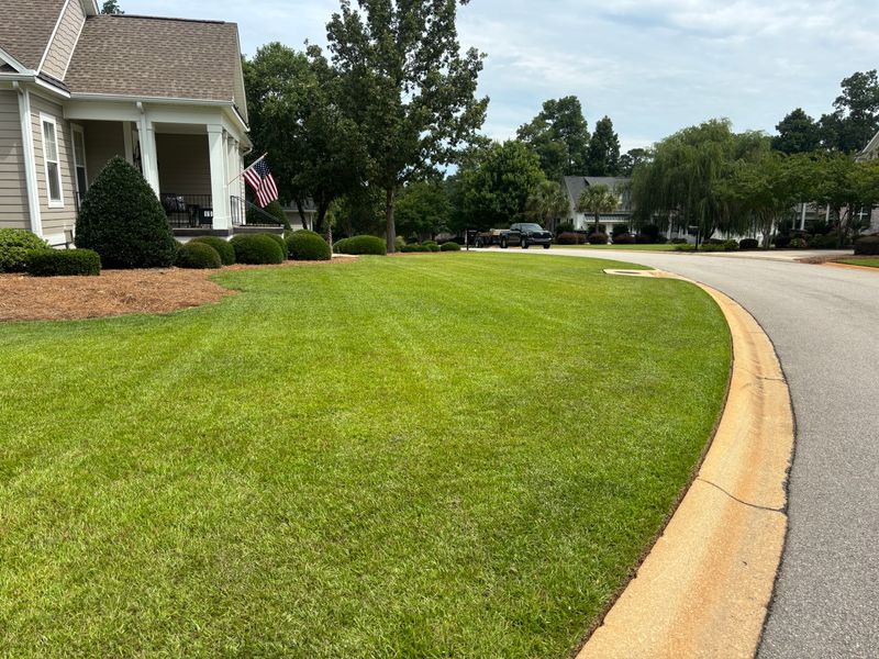 Mulch Installation
