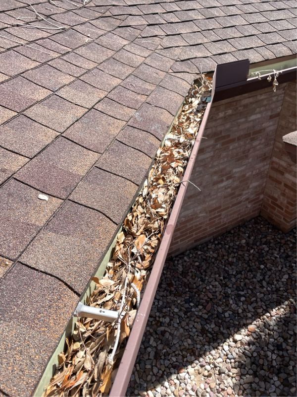 Gutter Cleaning