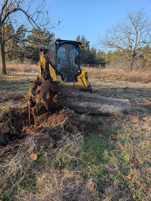 Land Clearing & Demolition