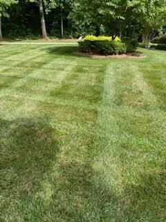 Lawn Care
