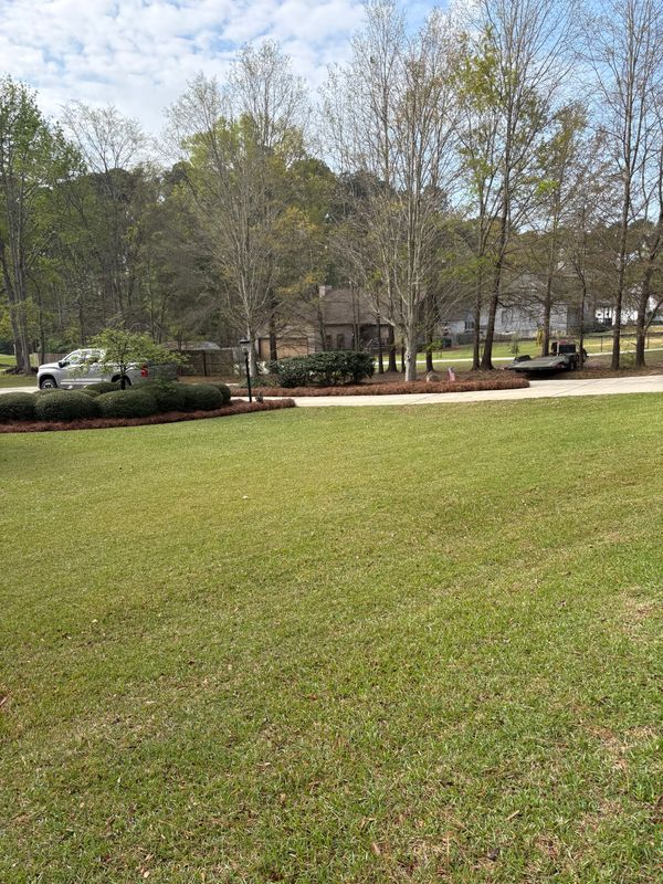 Landscape Design