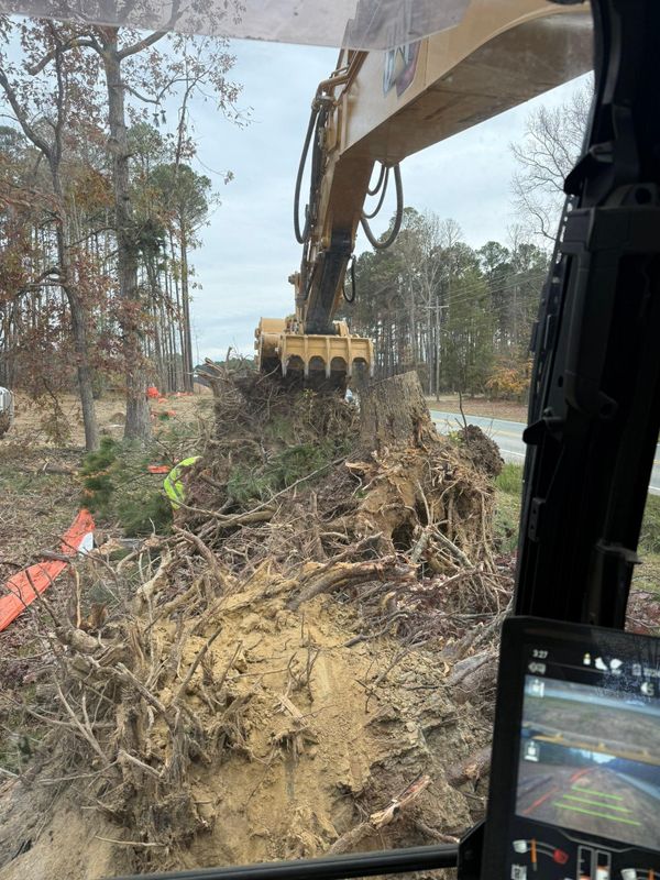 Forestry Mulching