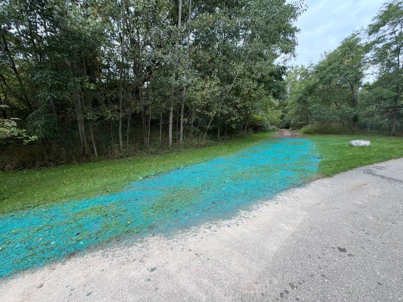 Hydroseeding