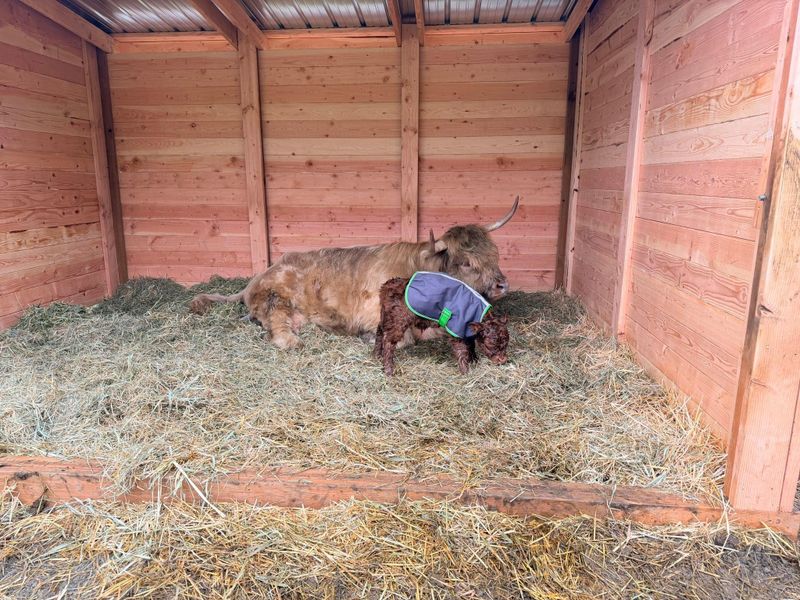 Hay Storage and Feeders
