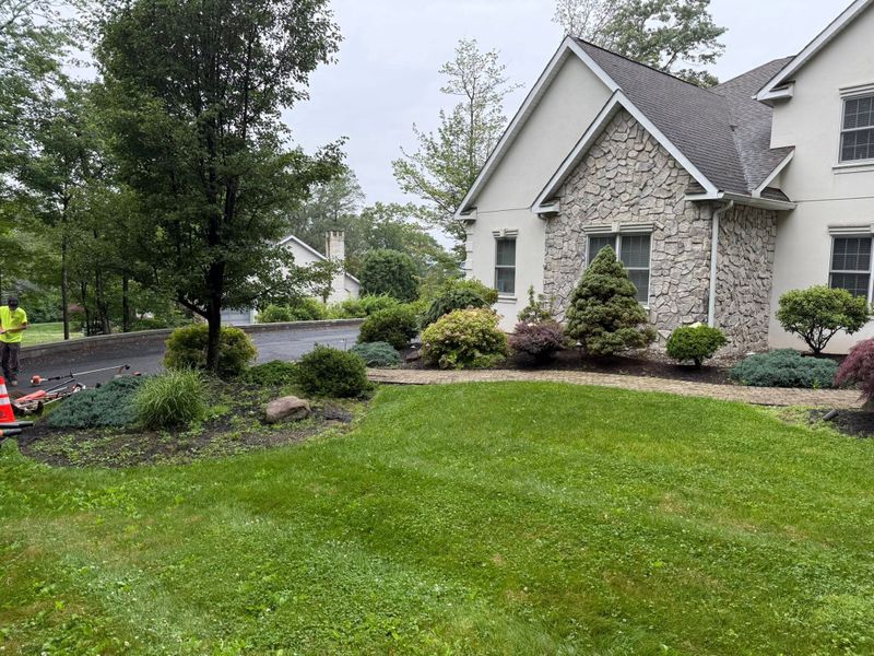 Plant & Shrub Installations