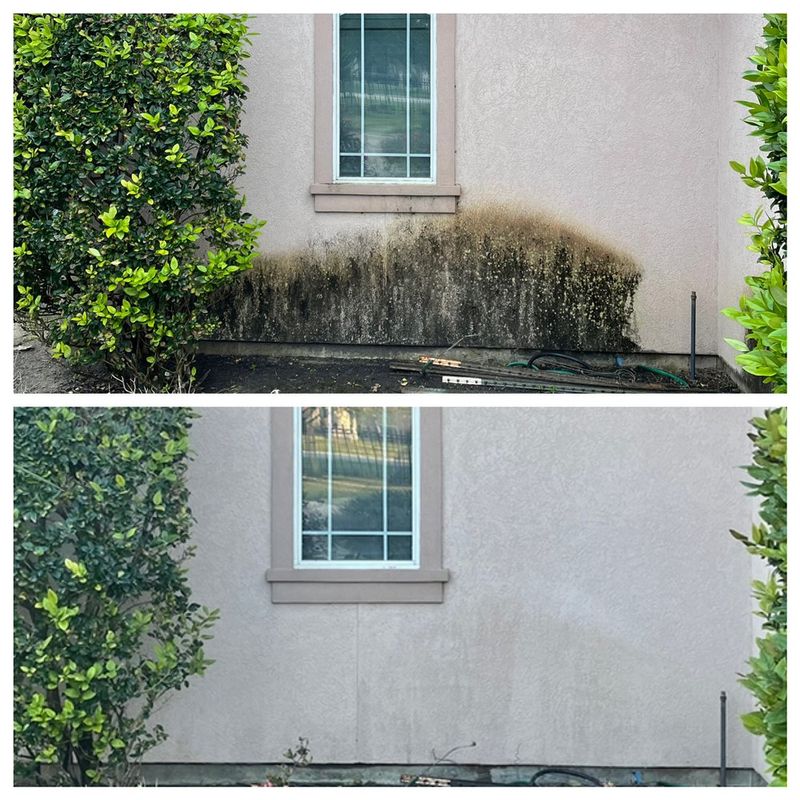 House Soft Wash & Low Pressure Wash