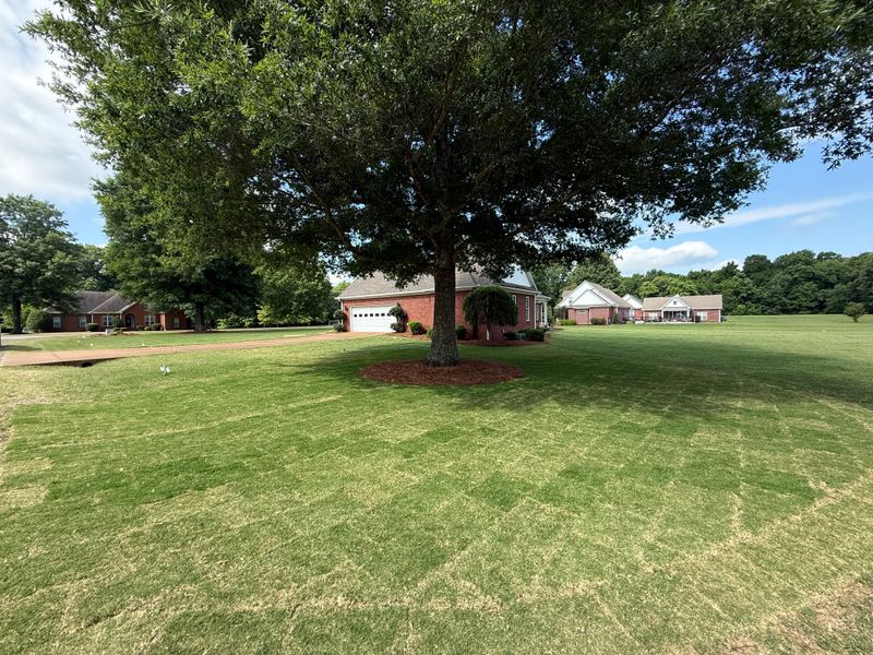 Lawn Maintenance