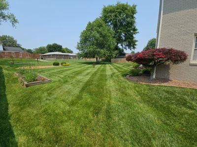 Lawn Maintenance
