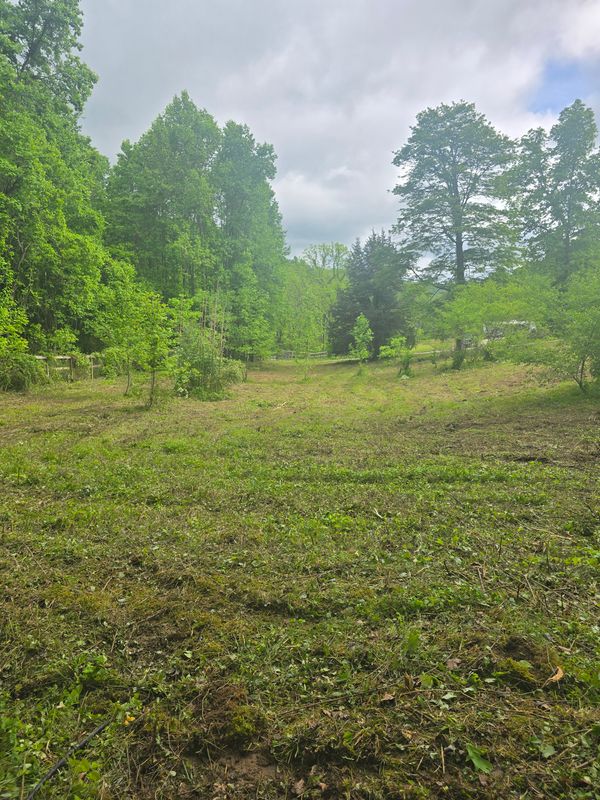 Land Clearing