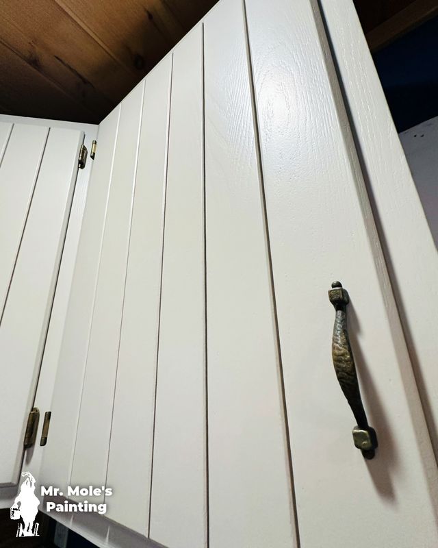 Kitchen and Cabinet Refinishing