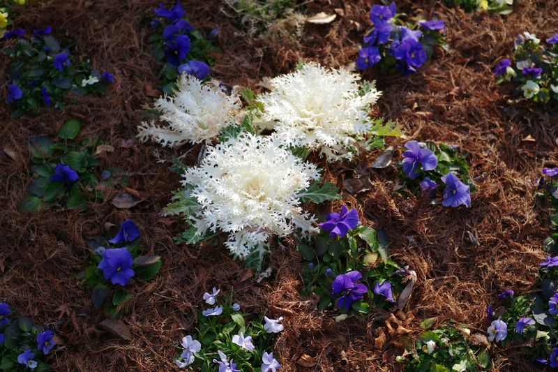 Mulch & Rock Installation